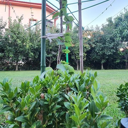 Vila Vasile Năvodari المظهر الخارجي الصورة
