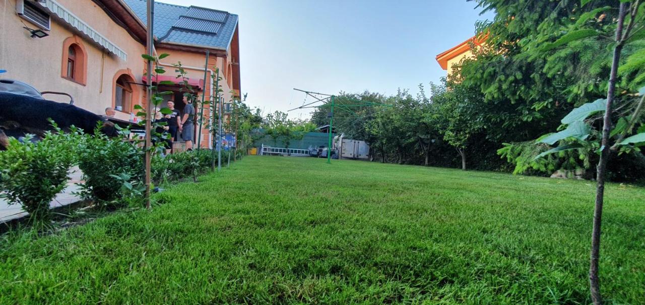 Vila Vasile Năvodari المظهر الخارجي الصورة