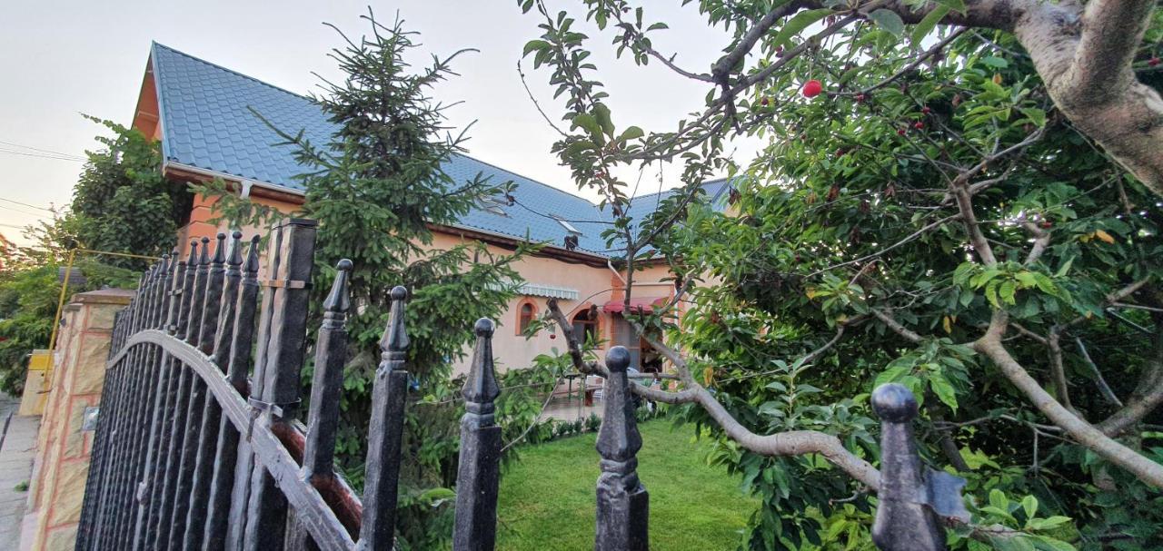 Vila Vasile Năvodari المظهر الخارجي الصورة
