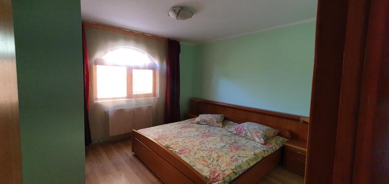 Vila Vasile Năvodari المظهر الخارجي الصورة